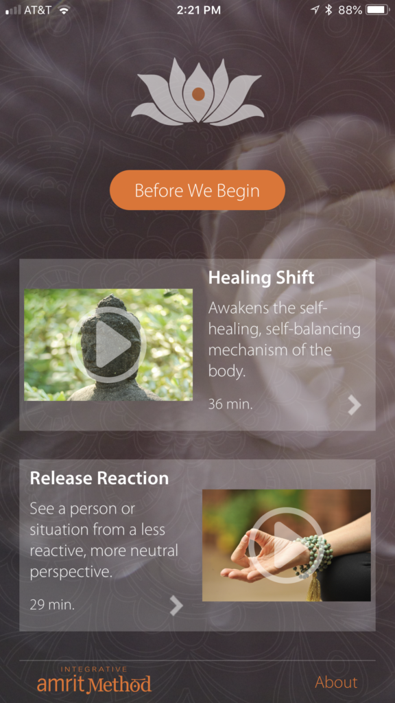 Yoga Nidra - Kamini Desai